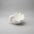 Shell trinket dish