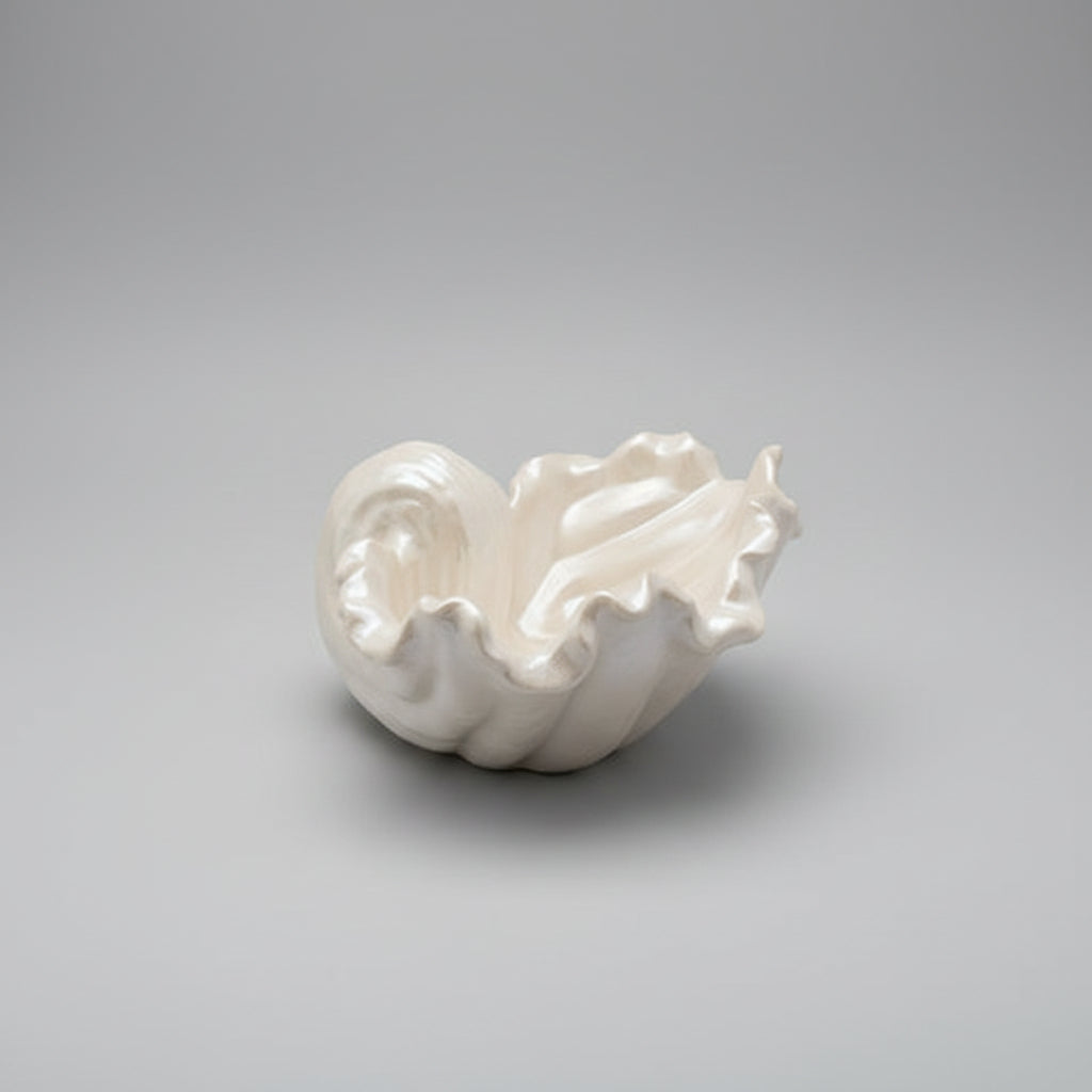 Shell trinket dish